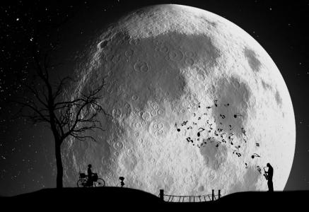 夜，月亮，树，人，音乐，感情