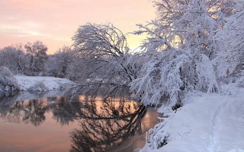 树，河，雪，冬天