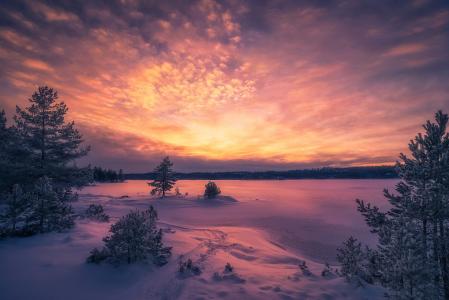 冬天，雪，冰，照片，Ole Henrik Skjelstad，树木，松树，日落，挪威