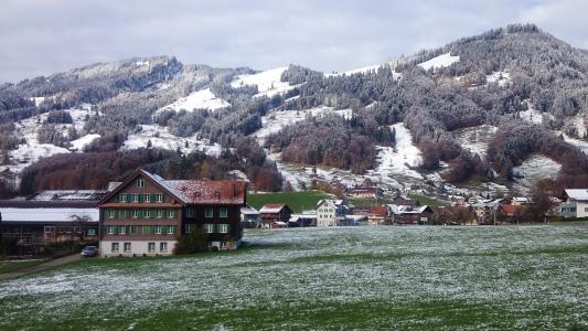 镇，雪，树，山，阿尔卑斯山