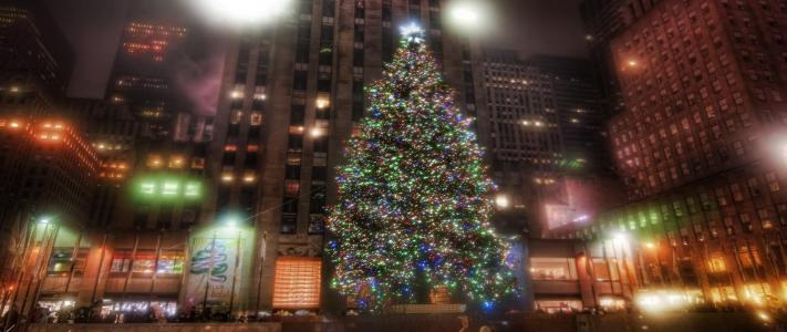 树，街，城市，灯，假期，圣诞节，新的一年