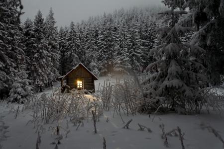 房子，森林，雪，冬天