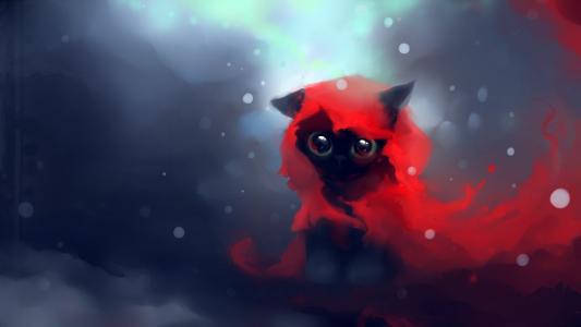 小猫，雪，眼睛，红色的围巾