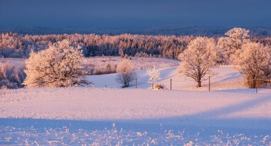 雪，冰，树，冬天，天空，云，拉脱维亚，领域，太阳，日落，Kristaps Kitners