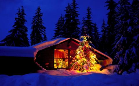 新的一年，圣诞节，毛皮树，房子，晚上