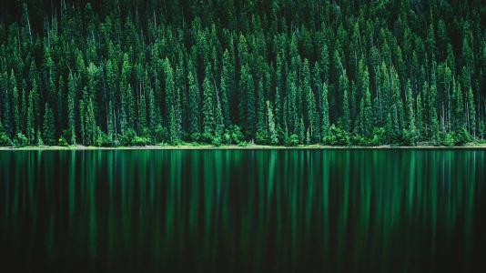 自然，森林，湖泊，山脉