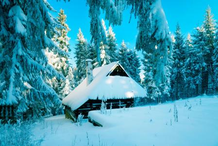 自然，森林，冬天，雪，房子，美丽