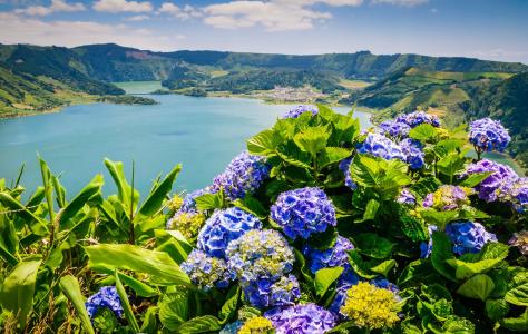 湖，Sete Cidades，Seti-Sidadish，亚速尔群岛，葡萄牙，自然，山，灌木，花，绣球花