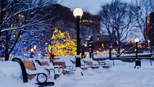 长凳，照明，新的一年，城市，假期，圣诞节