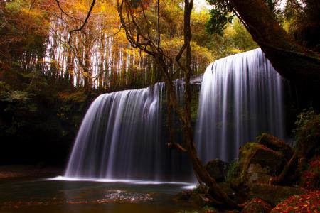 树，瀑布，河，秋天，性质