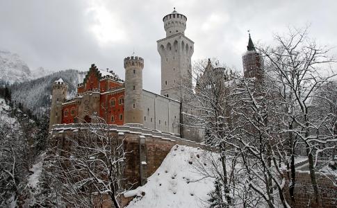 森林，德国，城堡，雪，树，冬天，山