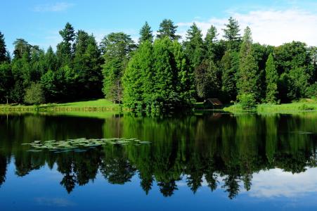 勃艮第，法国，景观，性质，树，绿化，湖，水，反射
