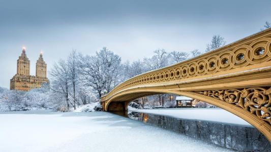 纽约，城市，冬天，公园，中央公园，桥梁