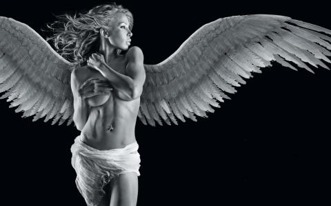 翅膀，织物，羽毛，背景，天使，穿孔，黑色