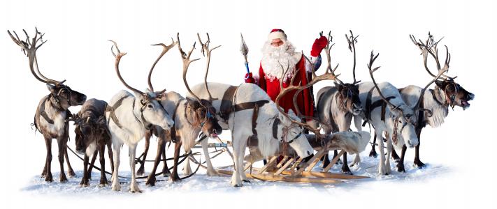 雪橇，鹿，圣诞老人