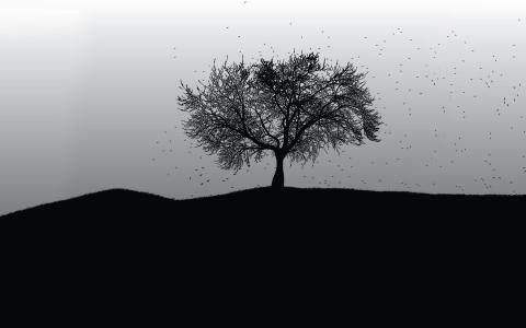 孤独的树，黑色和白色，矢量，黑色，白色，背景