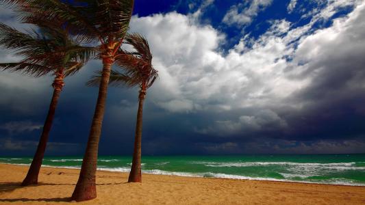 海滩，棕榈树，云，多云，美丽