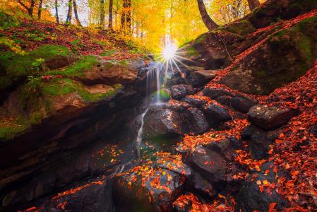 Saeed Younesi，性质，石头，秋天，森林，流，叶子，树，太阳，光线