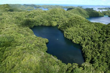 帕劳，水母湖，自然奇观，美丽，天空，绿化