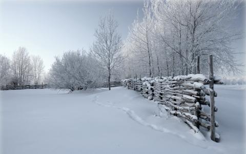 自然，雪，冬天，篱笆