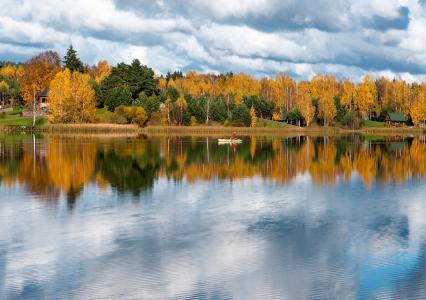 森林，秋季，湖，反思，捕鱼，戴瓦Cirtaute