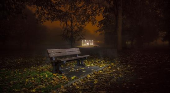 公园，晚上，雾，秋天