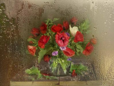 花束，罂粟，玻璃，水，静物，照片，维拉Pavlukhina
