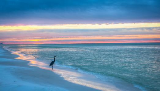 墨西哥湾，蓝山海滩，佛罗里达州，日落，海，岸