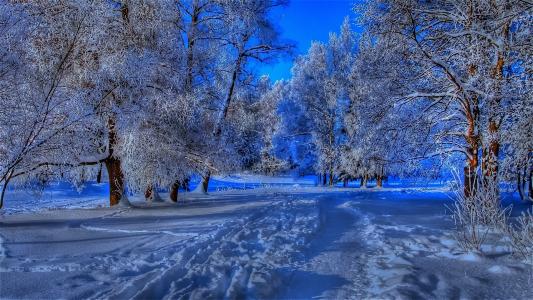 冬天，路，雪，蓝色