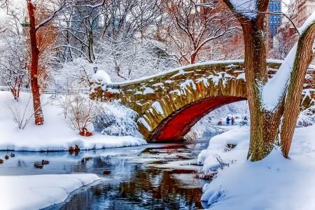 冬天，桥，树，雪，河