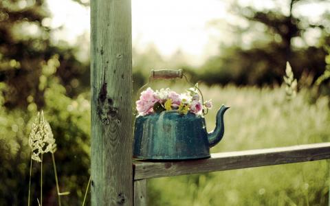 背景，茶壶，鲜花