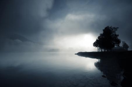 树，湖，黄昏，水，雾