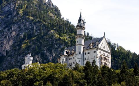 德国，性质，山，巴伐利亚，城堡，森林
