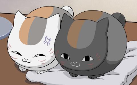 动漫猫，灰色，黑色，白色，动漫，猫