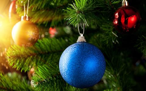 圣诞节，毛皮树，冬天，球，假日