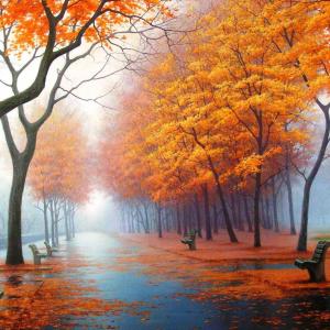 图片，秋季，美丽，雾