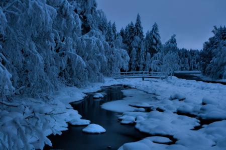 冬天，河，森林，暮光之城，雪