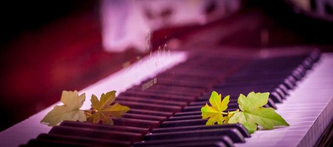 钢琴，树叶，美女，反思