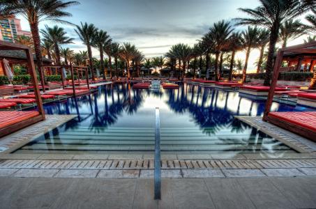 游泳池，棕榈树，巴哈马