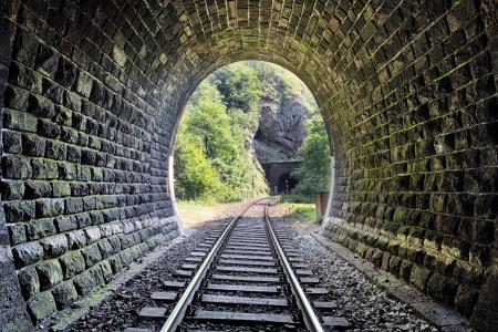 树木，铁路，铁路，石头，隧道