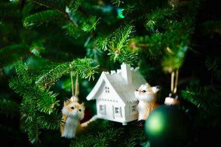 假期，新年，树，分支机构，玩具，房子，鸡油菌