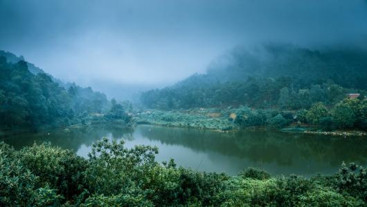 越南，湖，森林，雾，性质