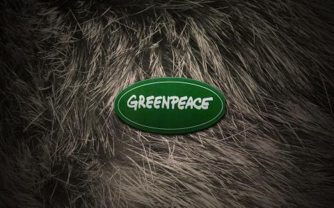 羊毛，新的一年，绿色和平，毛皮，绿色和平，标志，动物，2012年