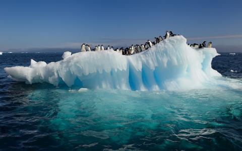海洋，冰山，企鹅，海洋，自然，冰