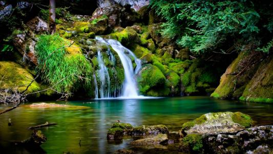 小溪，瀑布，湖泊，树木，美女，青苔，石头，沉默
