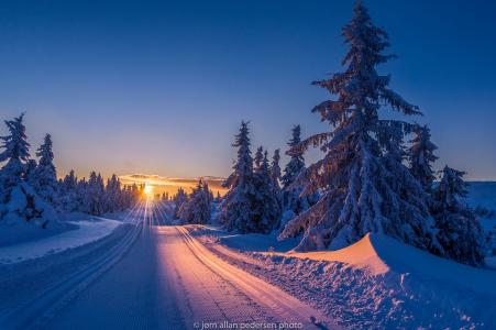 冬天，早晨，日出，照片，Jorn Allan Pedersen，路，雪，冷杉木