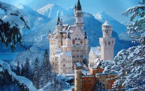 山，雪，冷杉木，皇家城堡新天鹅堡，德国