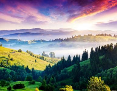 自然，雾，山，喀尔巴阡，树木