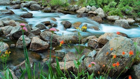 自然，山河，石头，花朵，春天，美丽，积极