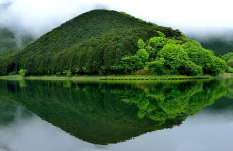 树，绿化，反射，景观，山，日本，山
